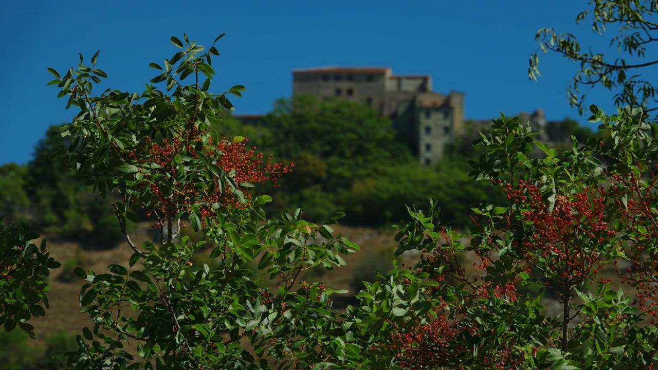 La Terrazza Sul Lago Turano Castel di Tora Exterior photo